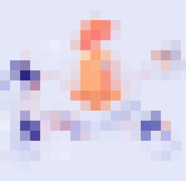 必赢体育APP